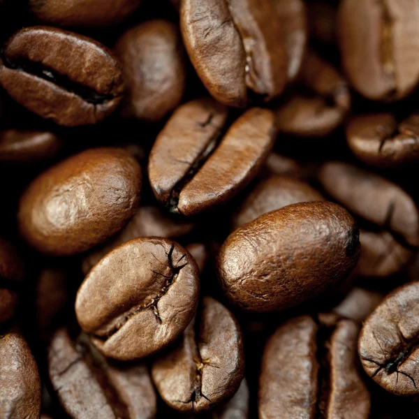 Brun kaffebönor högen — Stockfoto