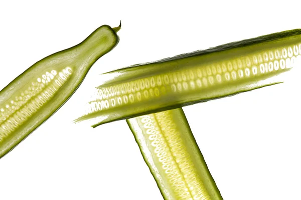 Strisce di cetriolo insalata verde — Foto Stock