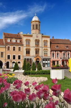 Downtown from Brasov City clipart