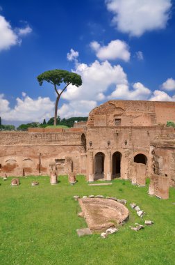 Stadium of Domitian on Palatine Hill clipart