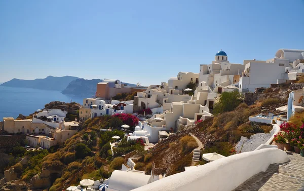 Trädgårdar och traditionella byggnader i oia, santorini, Grekland — Stockfoto