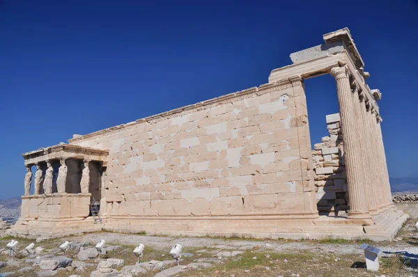 Erechtheum, Athena, Grécia Fotos De Bancos De Imagens Sem Royalties