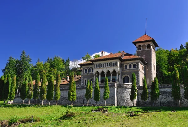 Замок Кантакуцио, Бустени, Румыния Лицензионные Стоковые Фото