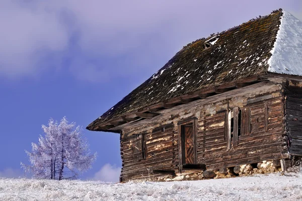 Verlaten houten huisje in winterse weergave — Stockfoto