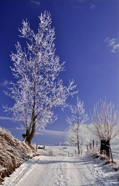 Estrada do país na paisagem invernal — Fotografia de Stock