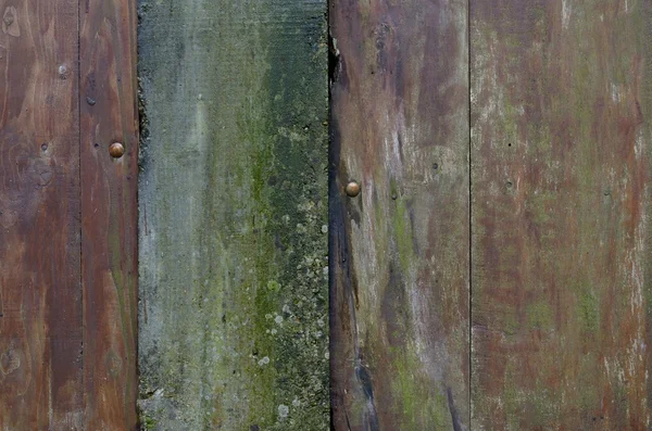 Wood concrete background — Stock Photo, Image