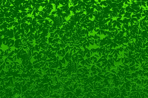 Streszczenie z zielonych liści — Zdjęcie stockowe