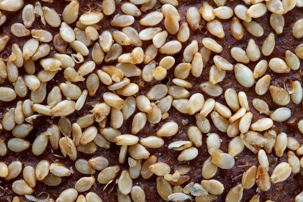 stock image Bread texture