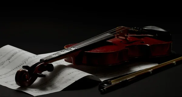 Oude viool en notities — Stockfoto