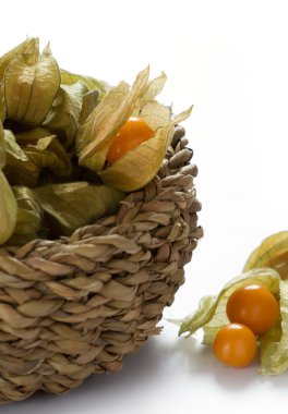 physalis öbek üzerinde beyaz izole