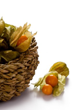 physalis öbek üzerinde beyaz izole