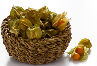 physalis öbek üzerinde beyaz izole