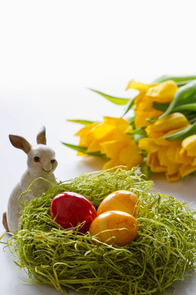 Ovos de ésteres, coelhinhos e tulipas — Fotografia de Stock