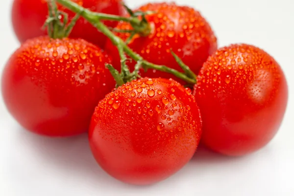 The tomatoes on white background — Stock Photo, Image