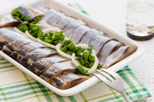 Herring fillets with herbs — Stock Photo, Image