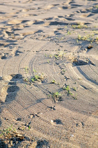 Stock image Sand with traces