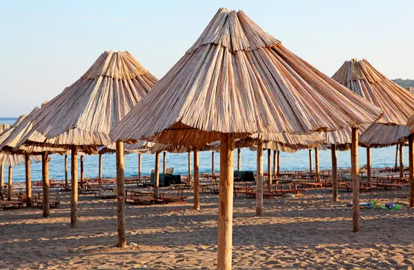 Stock image Beach umbrellas