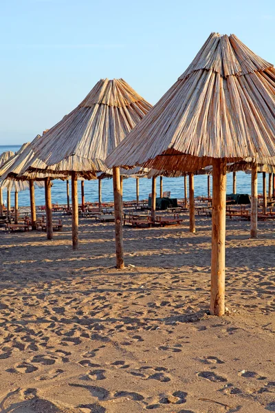 stock image Beach umbrellas