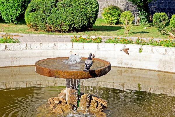 Bird fountain