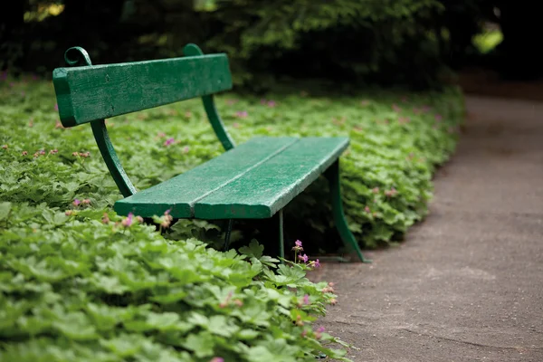Grön bänk i trädgården — Stockfoto