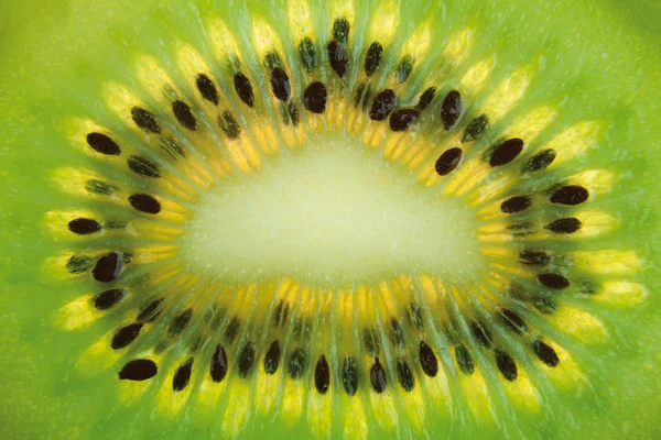Kiwi frukt bakgrund — Stockfoto