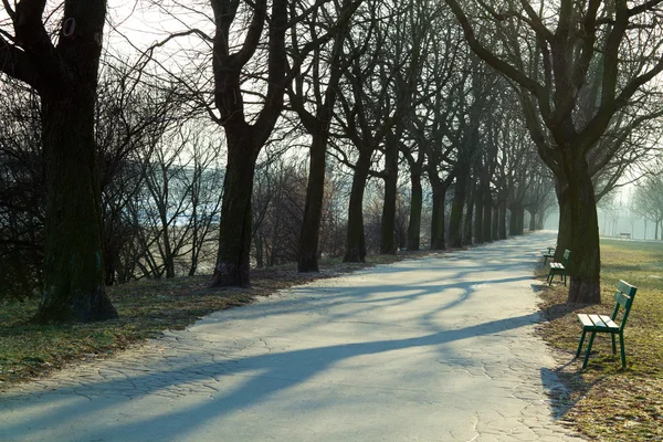 公園内の路地 — ストック写真