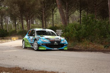 Marinha grande, Portekiz - 14 Nisan: andre marques açık Şampiyonası marinha Grande, 14 Nisan 2012 tarihinde Portekiz üzerinde entegre bir peugeot 206 s1600s ralli vidreiro 2012, sırasında sürücüler.