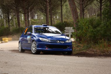 Marinha grande, Portekiz - 14 Nisan: carlos cruz sürücüler bir peugeot 206 rc miting sırasında vidreiro 2012, entegre açık Şampiyonası marinha Grande, Portekiz-14 Nisan 2012 tarihinde.