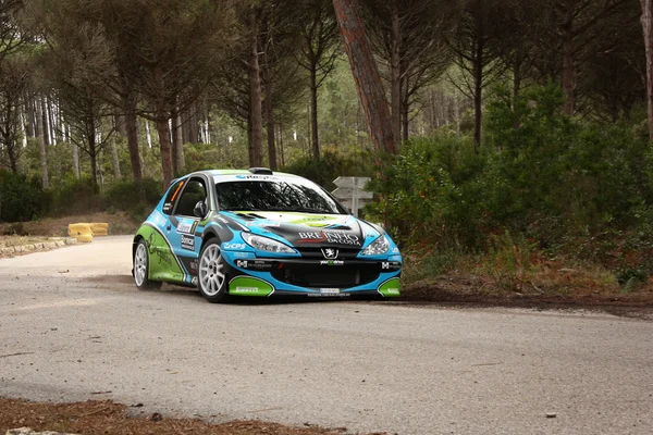 MARINHA GRANDE, PORTUGAL - APRIL 14: Andre Marques drives a Peugeot 206 S1600S during Rally Vidreiro 2012, integrated on Open Championship in Marinha Grande, Portugal on April 14, 2012. — Stock Photo, Image