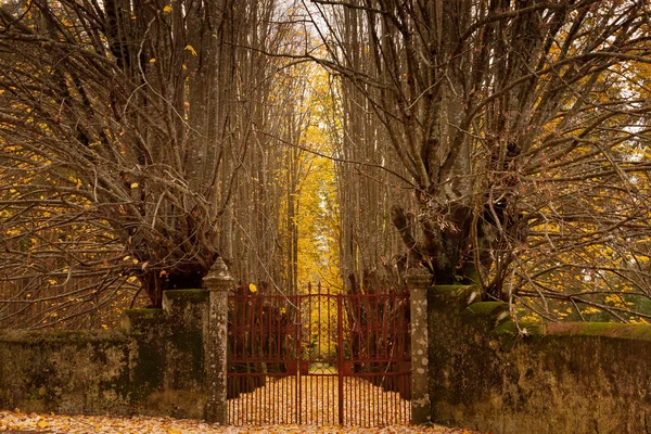 Puerta al bosque de otoño Imágenes de stock libres de derechos