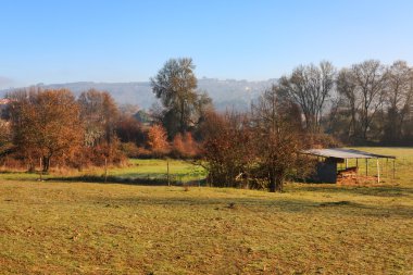 Small Farm at Morning clipart