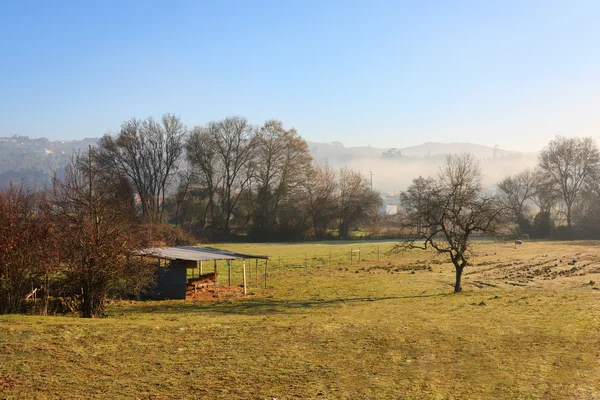 Kleine boerderij in de ochtend — Stockfoto
