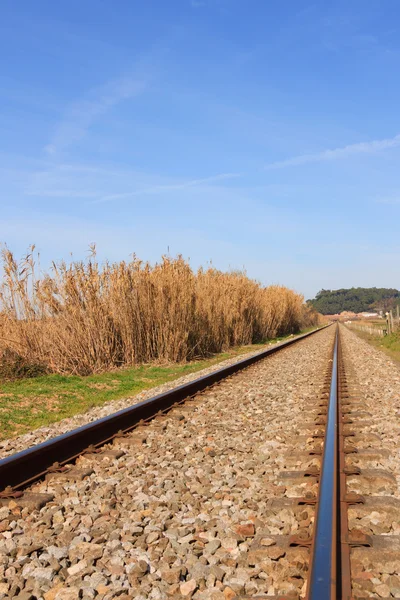 Landscape of an portuguese railway against forest and blue sky — Stock Photo, Image