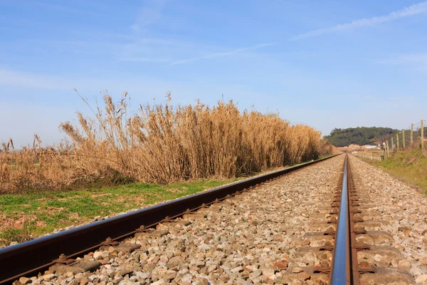 Paisaje de un ferrocarril portugués contra el bosque y el cielo azul —  Fotos de Stock
