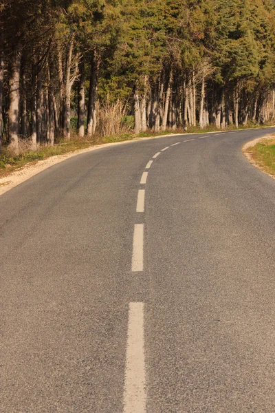 Empty road against trees ending in a curve — Stock Photo, Image