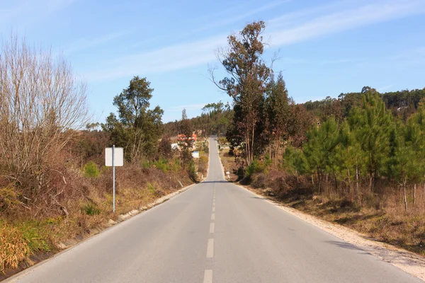 Strada asfaltata per la cima della collina, circondata da boschi — Foto Stock