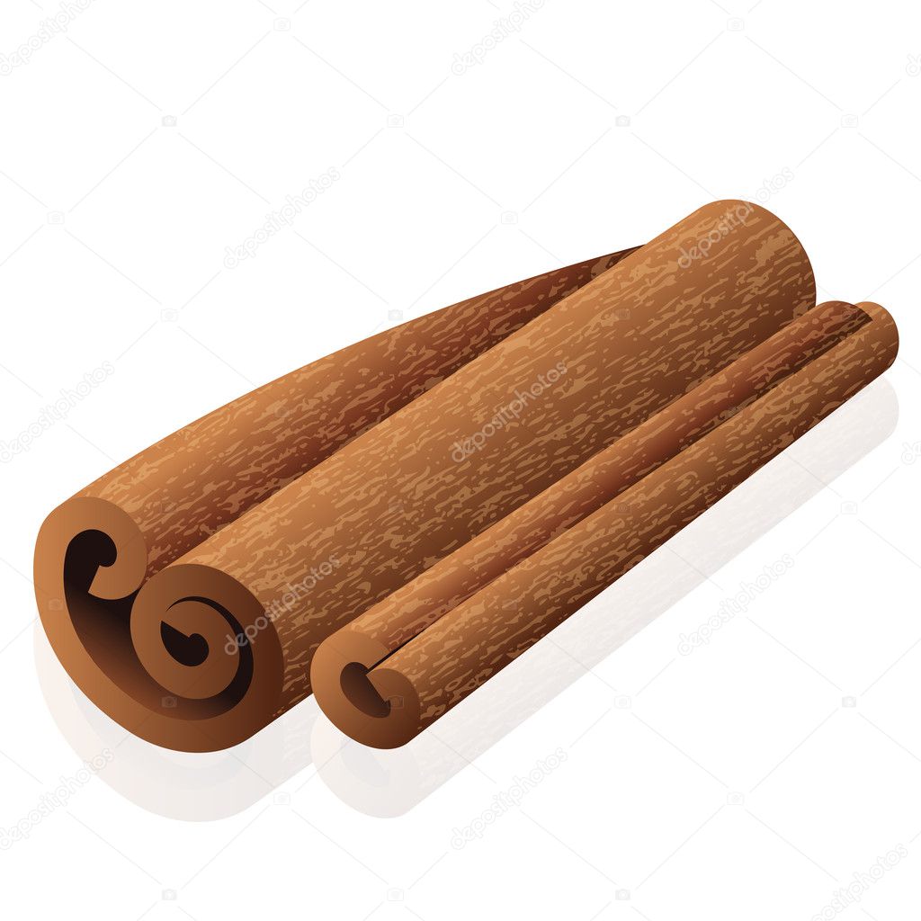 Vector illustration of cinnamon
