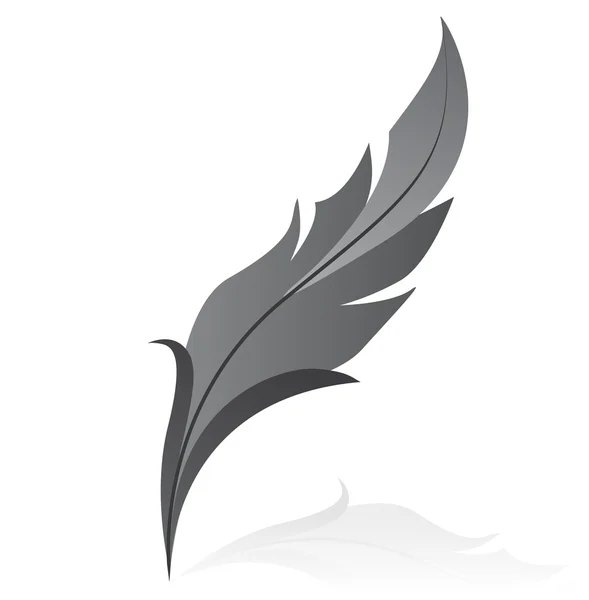 Vectorillustration of grey feather — Stock Vector