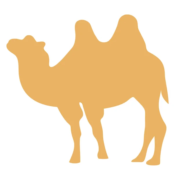 Ilustração vetorial de camelo —  Vetores de Stock