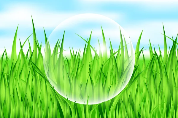 Vektorové ilustrace kapky na trávě — Stockový vektor