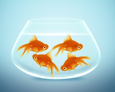 Goldfish in small bowl clipart