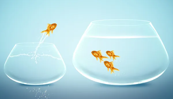 Goldfish jumping into bigger fishbowl — Stock Photo, Image