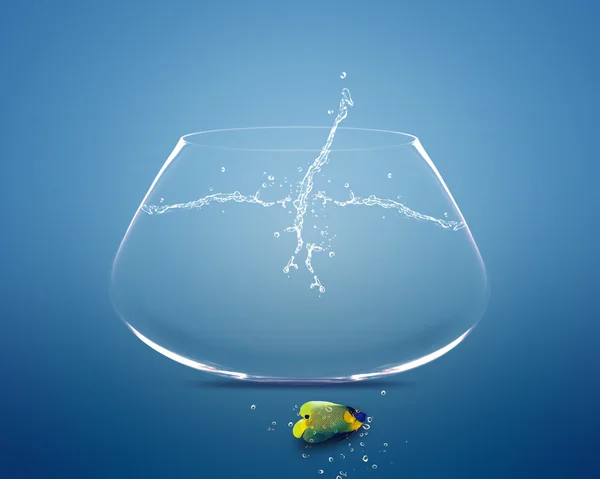 金魚鉢の外に飛び出すエンゼルフィッシュ — ストック写真