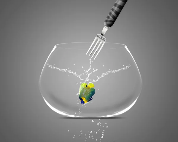 Villás fishbowl fogás Vitorláshal — Stock Fotó