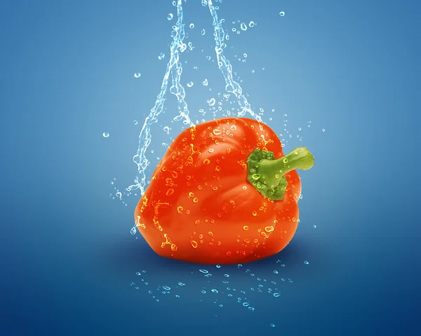 Frische rote Paprika — Stockfoto
