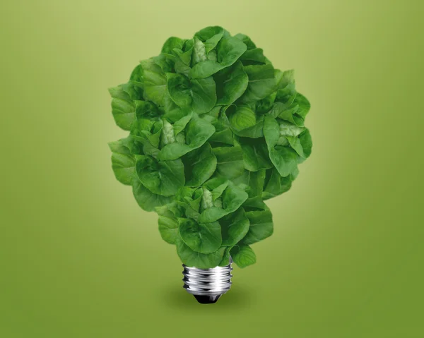 Idea de bombilla verde — Foto de Stock