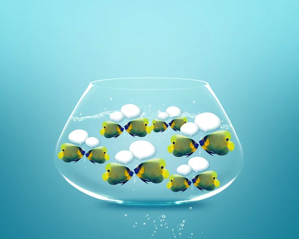 Angelfish gezichten als sociaal netwerk met tekstballonnen. — Stockfoto