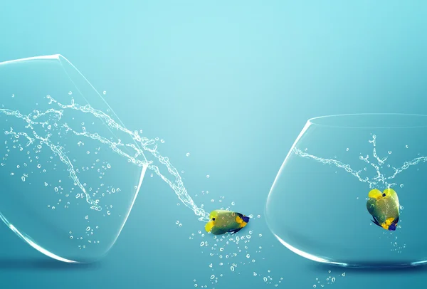 Angelfish springen uit fishbowl — Stockfoto