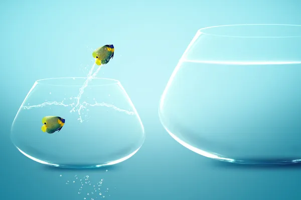 Anglefish in kleine fishbowl kijken goudvis springen in grote fi Rechtenvrije Stockafbeeldingen