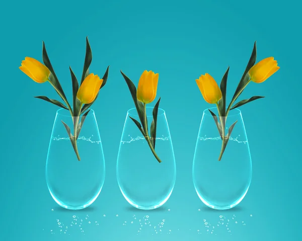 Tres tulipanes amarillos coloridos —  Fotos de Stock